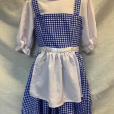 Dorothy blue and white check dress