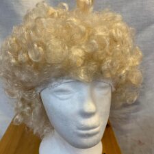 Silver blonde afro wig