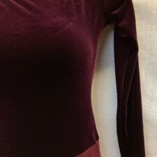 Burgundy velvet leotard with long chiffon skirt