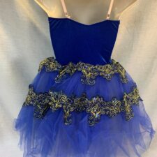 Royal blue velvet romantic tutu with gold floral accents