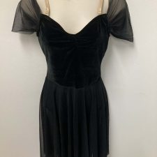Black skirted leotard with chiffon sleeves and velvet bodice