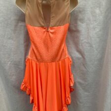 Bright orange and silver leotard with bustle skirt