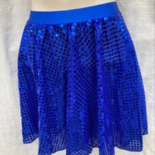 Royal blue sequin skirt