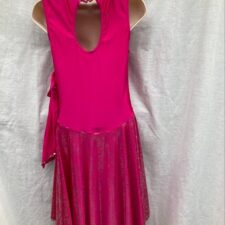 Bright pink and silver skirted leotard with gloves