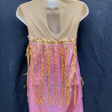Pink sequin and nude mesh skirted biketard with hanging gold fringe