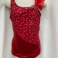 Metallic red and silver sequin leotard