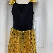 Black and gold sequin skirted leotard