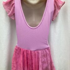 Pink cap sleeve leotard with ombre chiffon skirt