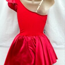 Red satin skirted leotard with silver belt and black feather detail
