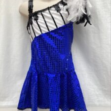 Blue sparkle skirted leotard with black and white piano keys design and feather detail