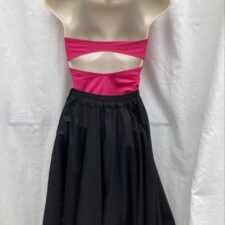 Pink halter neck leotard with black circle skirt