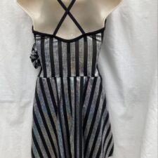 Black and metallic silver stripe leotard with tails