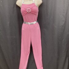 Pink and silver leotard and trousers