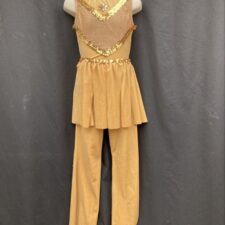 Gold velvet leotard, trousers and over skirt