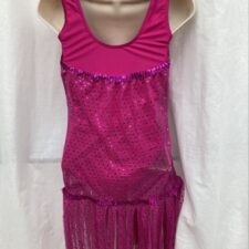 Raspberry leotard with sheer fringed cover