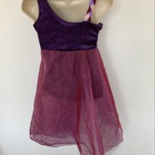 Purple velvet leotard with raspberry chiffon skirt