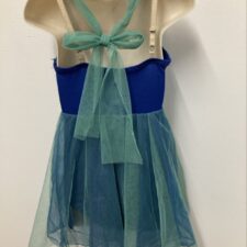 Blue and green skirted leotard with sequin bodice
