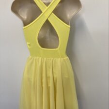 Yellow skirted leotard with velvet and sequin bodice