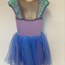 Blue and lilac chiffon skirted leotard with sequin bodice