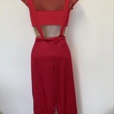 Red crop top with mesh sleeves and trousers with attached braces
