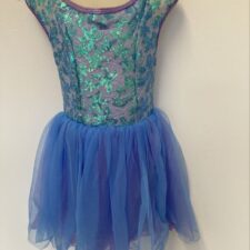 Blue and lilac chiffon skirted leotard with sequin bodice