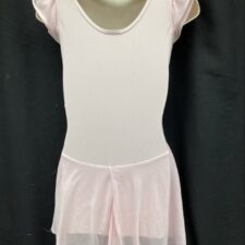 Pale pink leotard with chiffon cap sleeves and skirt