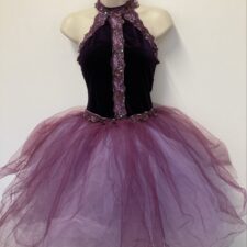 Purple velvet tutu with lace and sequin trim