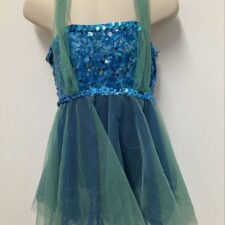 Blue and green skirted leotard with sequin bodice