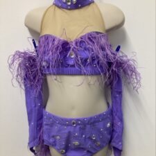 Purple and nude crop top and briefs with sequins and feather details and gloves