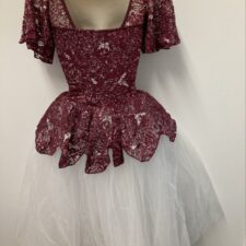 Burgundy and silver lace and white tutu with short sleeves
