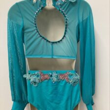 Turquoise long sleeve crop top and briefs embellished with flowers and sequins