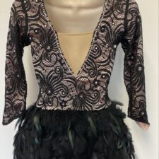 Black and pale pink feather skirted leotard with sequins
