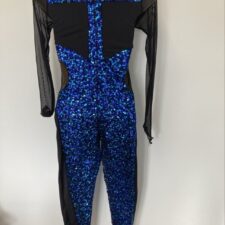Black mesh and blue sequin catsuit