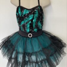 Green and black netted skirted leotard with sequin bodice