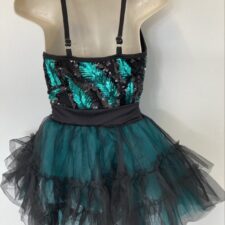 Green and black netted skirted leotard with sequin bodice
