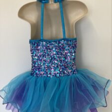 Turquoise and purple sequin skirted leotard