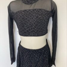 Black and silver long sleeve crop top and skirted briefs