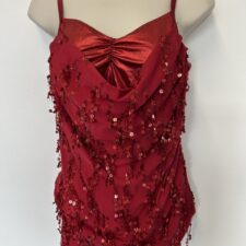 Metallic red top and skirted briefs with dangling sequins