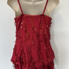 Metallic red top and skirted briefs with dangling sequins