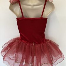 Wine velvet and white satin skirted leotard with roses