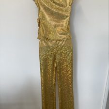 Gold fringe top and sequin trousers