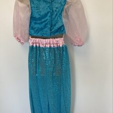 Turquoise and pink sparkle Arabian crop top and harem trousers