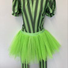 Neon green and black striped catsuit with tutu skirt