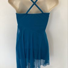 Teal chiffon and sequin skirted leotard