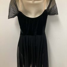 Black skirted leotard with chiffon sleeves and velvet bodice