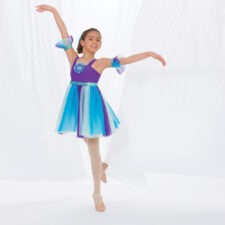 Purple and turquoise skirted leotard (arm bands not included)