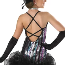 Sequin striped skirted leotard with puffy chiffon skirt (choker included, gloves and hairpiece not included)