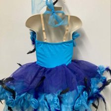 Bright blue and turquoise skirted leotard with sequin bodice, flowers and feather detail