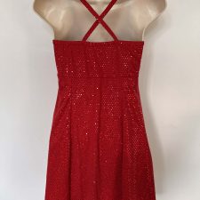 Red sequin skirted biketard with silver buckle