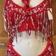 Red sequin skirted leotard with beading